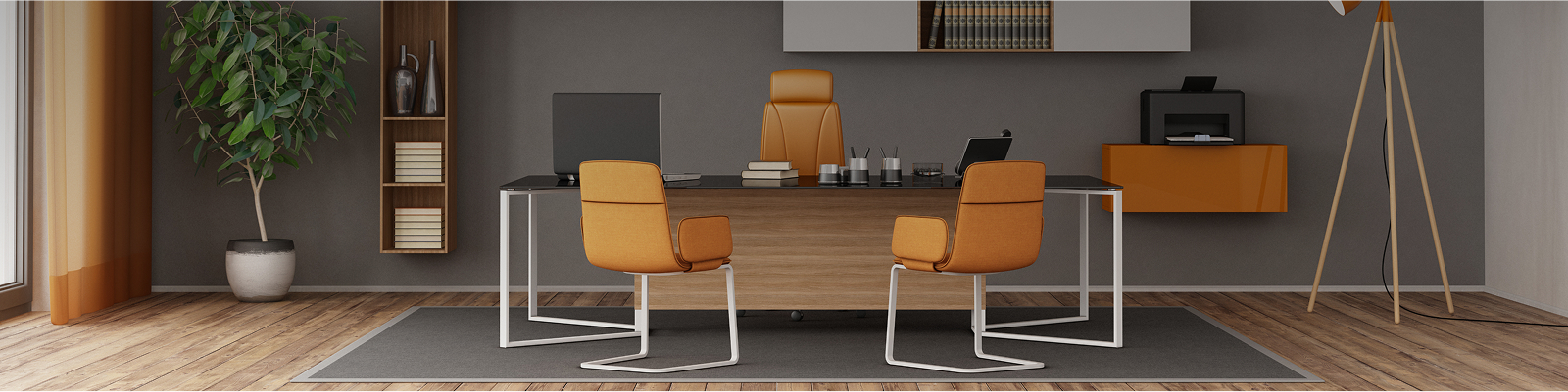 visuel profession libérale carcassonne