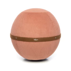 Ballon ergonomique Bloon